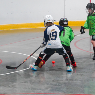Minor players playing ball hockey.