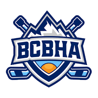 BC Ball Hockey Association